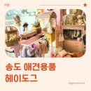 도그픽 | 송도 애견용품 전문점 헤이도그 방문 후기 (내돈내산)