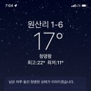 숲속솔향기