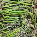 남원읍-82 이미지