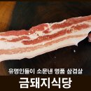 벼락금돼지 이미지