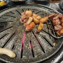 돈방제주맛돼지 - 34633 | 돈방제주맛돼지