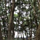 미디어 놀이터로 고고 이미지