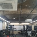 현 피티샵 이미지