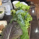 옛날쌈밥보리밥 이미지