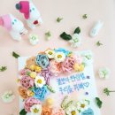 데조로스튜디오