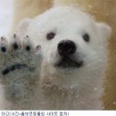 아고PC 이미지
