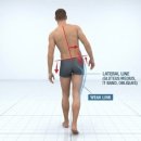 링게이트 이미지