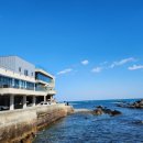 남나리전복 이미지