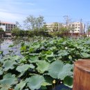 뉴오션리조트 이미지