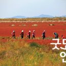 소슬농장 이미지