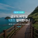 지에스25 고흥금산점 | 금오도 비렁길 1코스 후기, 함구미 두포 코스 거리 소요시간 가는법 총정리