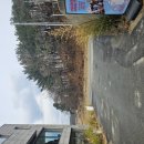 라포레과자점 | 세종 금남면 카페 추천 '가배서림' : 논밭 뷰가 예쁜 대형 북카페 솔직 후기