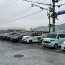 두둥실 청둥오리 이미지