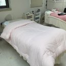 봄뷰티 - 김포시 | 울산 속눈썹 펌 자연스럽고 눈이 편안했던 '반구동 봄별뷰티' 후기