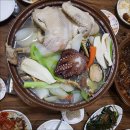 올레펜션 이미지