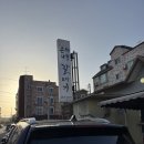 은행나무3길 | 맛집] 진짜가 나타났다! 🍜 얼굴 다 가려지는 왕냉면 + 소갈비살 700g의 역대급 비주얼 '은행나무갈매기'