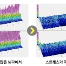 5분에책1권읽기안양평촌 이미지