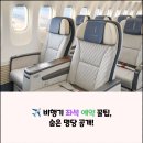 거제초 뒤 어린이 승하차구역 | 비행기 좌석 예약 꿀팁, 숨은 명당 공개!