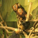 찬이농장 이미지