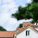 하늘빛농원 이미지