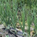 해원농장 이미지