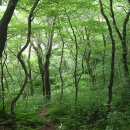 경승목장 이미지