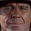 [서부] 하모니카 이미지