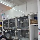 강남동물병원 이미지