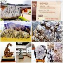 주왕산관광지(민예촌) 이미지