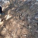 양지바른 이미지