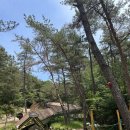 초록공원 이미지