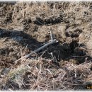 에코농장 이미지