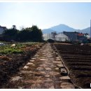 봉평동사무소 이미지