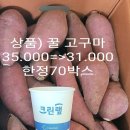 꿀 고구마 35.000=＞31.000 이미지