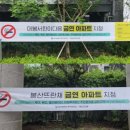 지정21 이미지