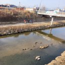 청결세차장 이미지