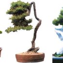 생각하는정원 이미지