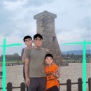 첨성대부동산