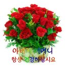 우아하개 네이버블로그