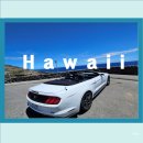 낙원농장2 | 하와이 신혼여행 초보여행자를 위한 솔직 후기 마무리