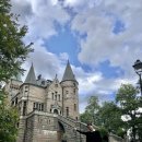 남부켄넬 이미지