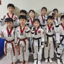 강철태권도 이미지