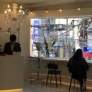 살롱드화이트