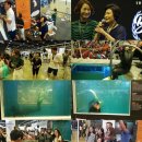 백년손님 이미지