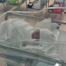 천안아산 삼성미즈 자연분만 후기 (24년12월기준)