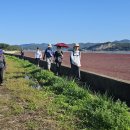 석모도바람길 이미지