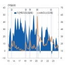 개인투자자의 해외증권투자 특징 및 평가 이미지