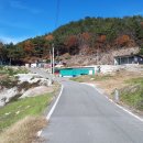 사계절자연방목농장 이미지