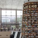 삼성동-1 이미지