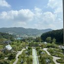 호텔] 또 가고 싶은 에덴 파라다이스 호텔 솔직 후기 (헐리우드 더블 가든룸, 세상의 모든 아침 조식...